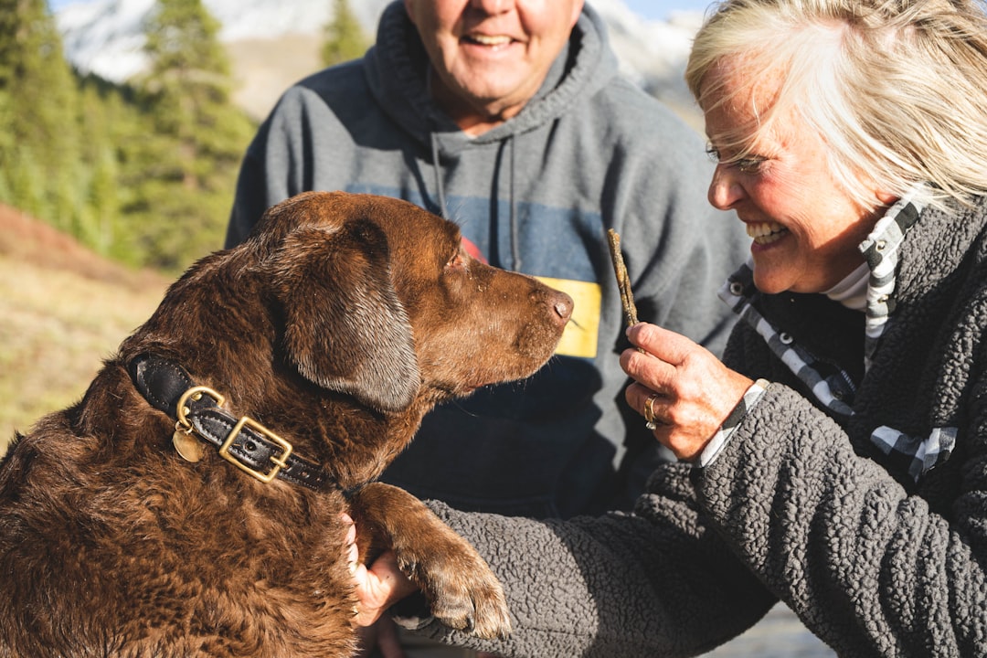 Guilt-Free Giving: Healthy Dog Treats They’ll Love