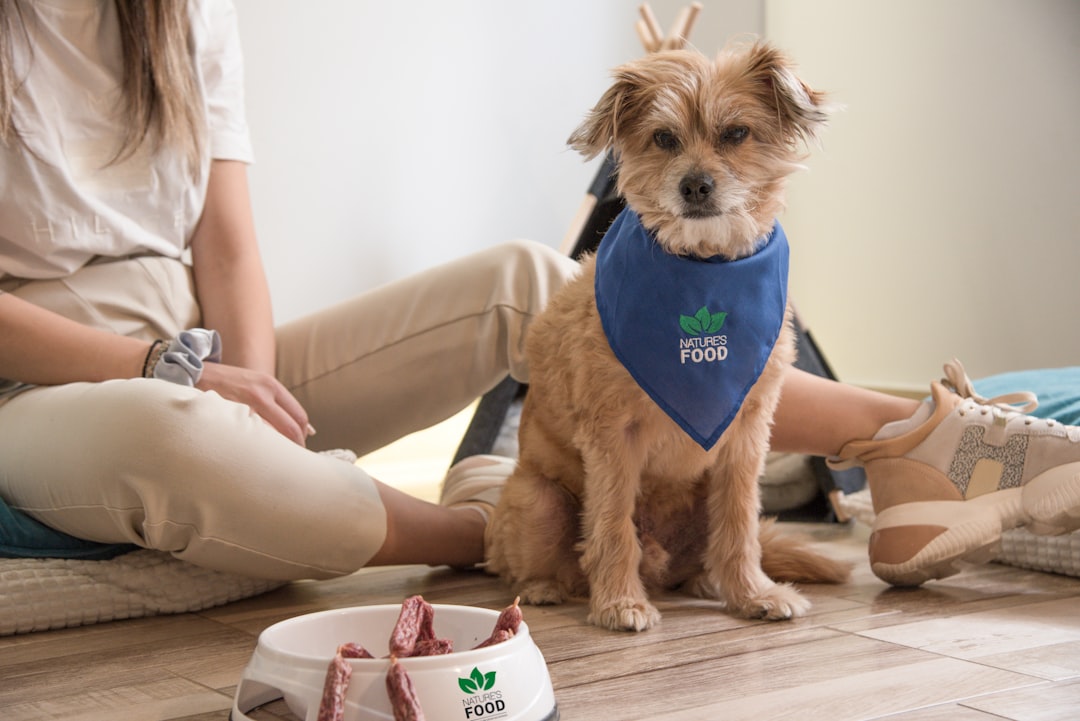 Positive Pup: Natural Training Treats for Your Young Canine