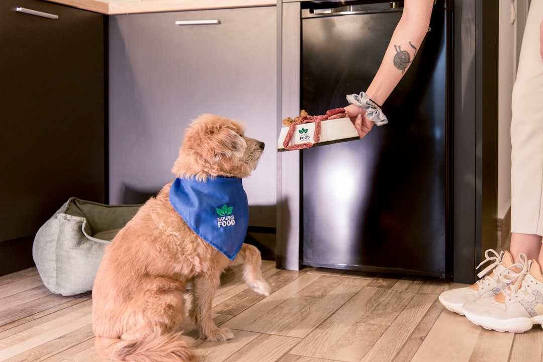 Tail-Wagging Nutrition: The Science Behind Natural Training Treats for Dogs